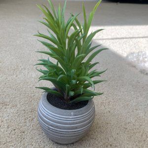 Fake Plant
